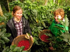 Olivia and Vanessa with the coffee cherries they harvested