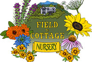 Field to Cottage Nursery