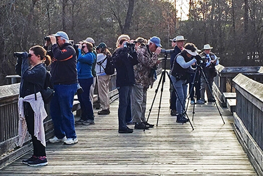 Birding Sites img