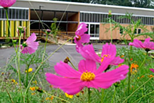 Walnut Creek Wetland Center